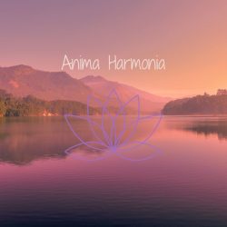 Anima Harmonia